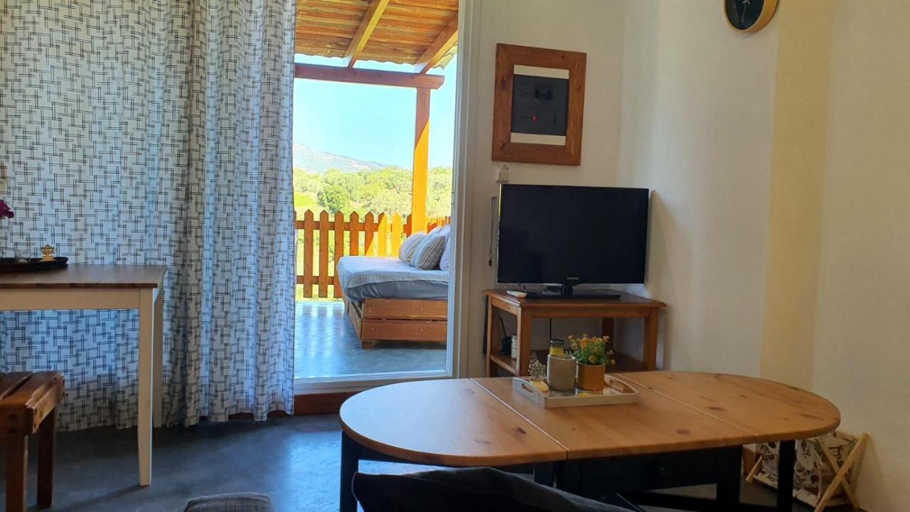 Apartment Konti *